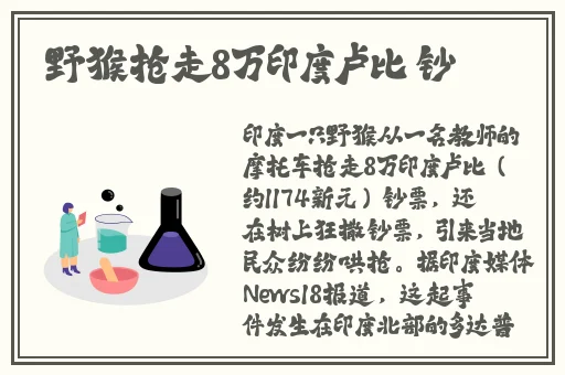 天天5g罗志祥